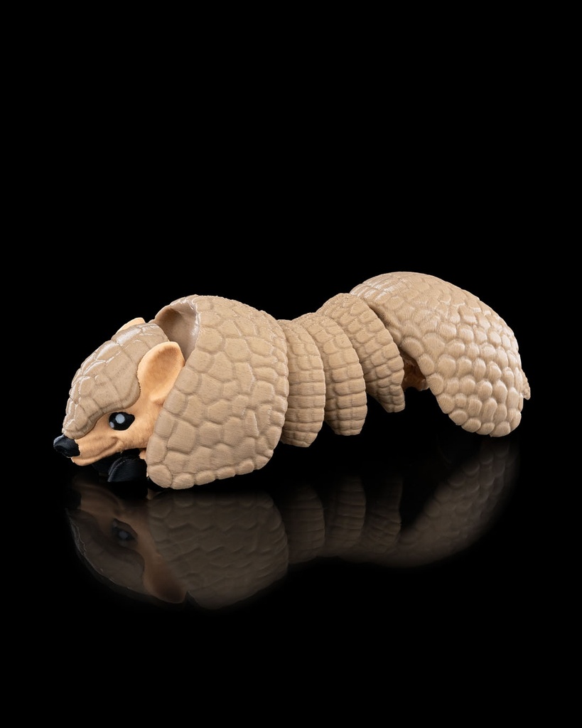 Armadillo